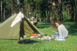 Schweden 1985