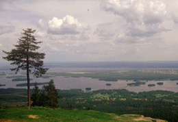 Schweden 1985