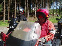 Harz 2006